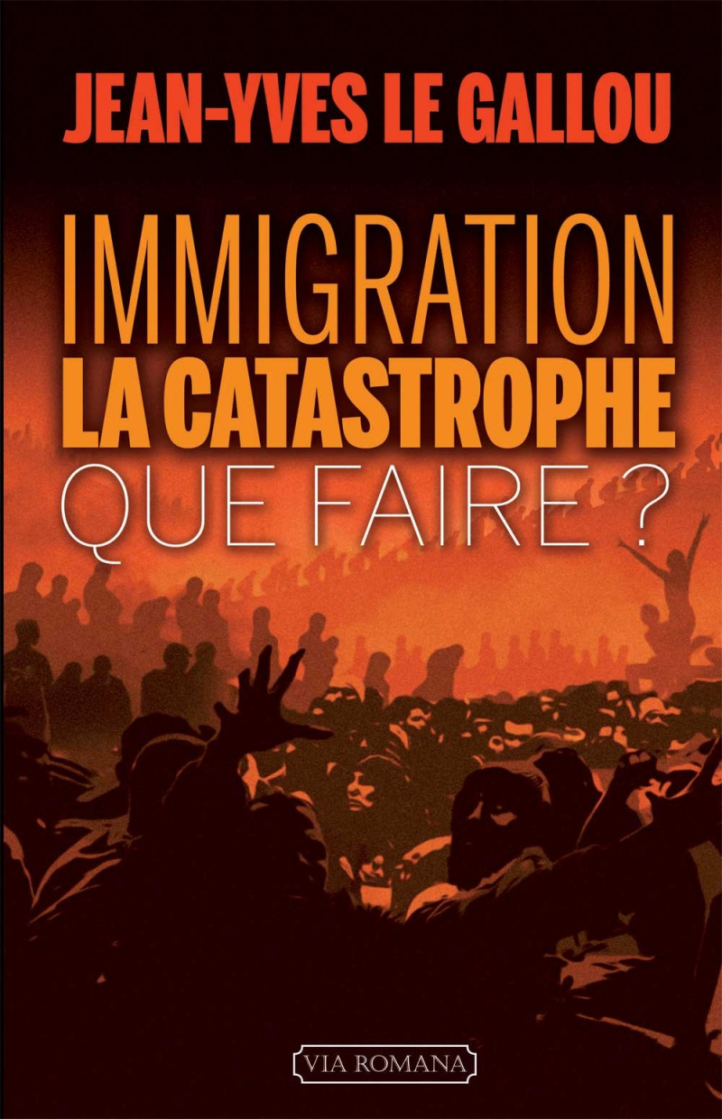 Immigration : la catastrophe. Que faire ?