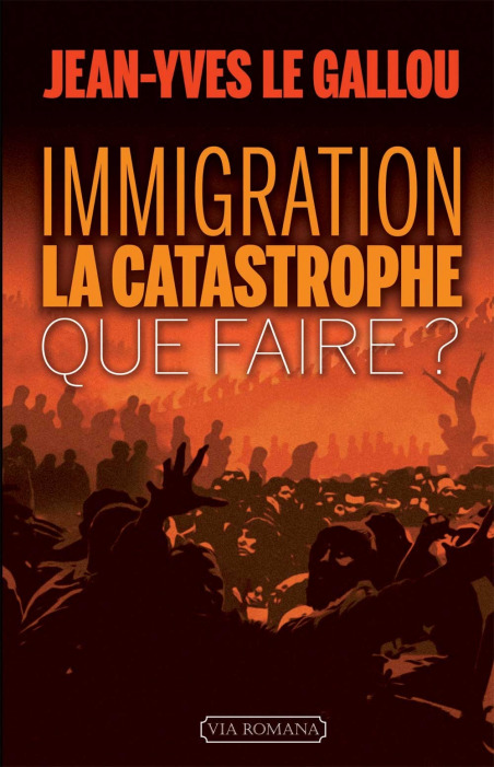 Immigration : la catastrophe. Que faire ?