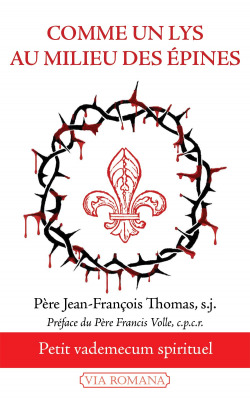 Comme un lys au milieu des épines - Père Jean-François Thomas