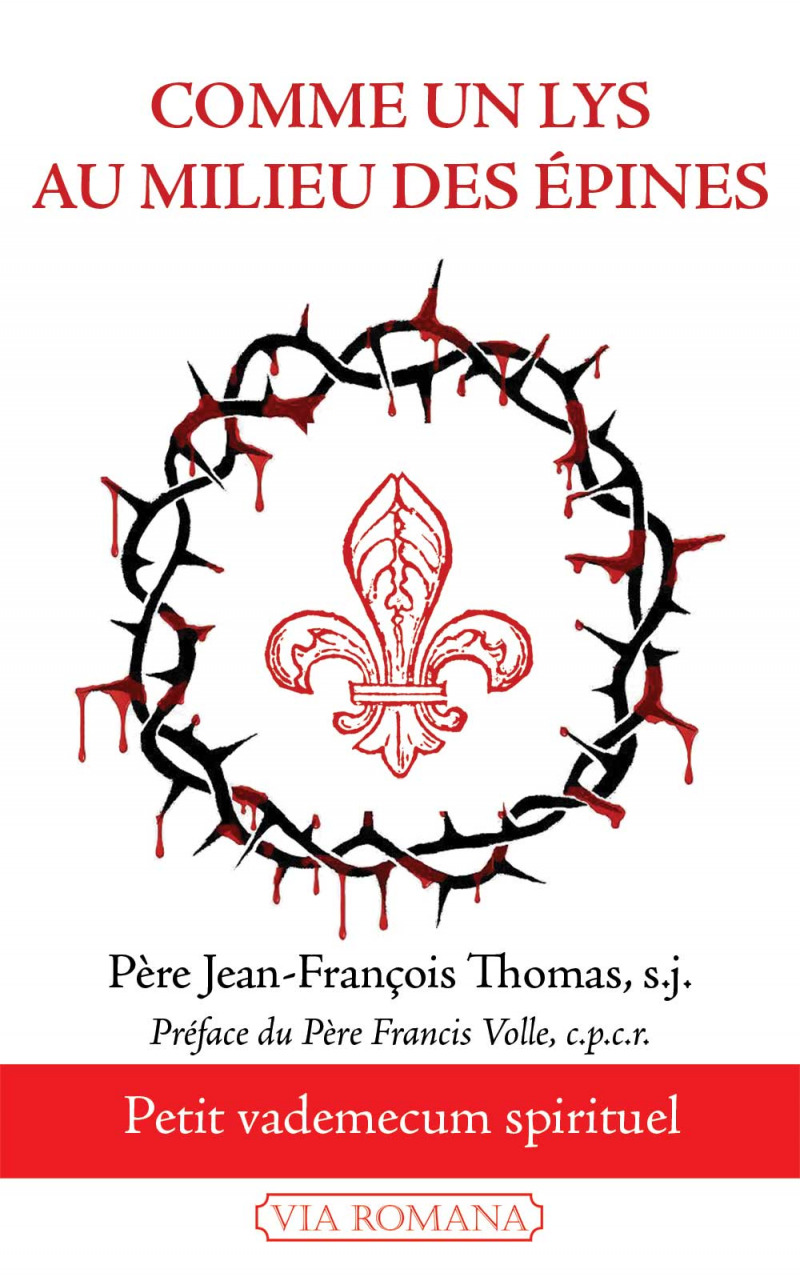 Comme un lys au milieu des épines - Père Jean-François Thomas