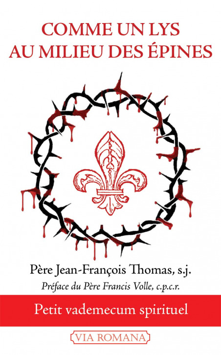 Comme un lys au milieu des épines - Père Jean-François Thomas